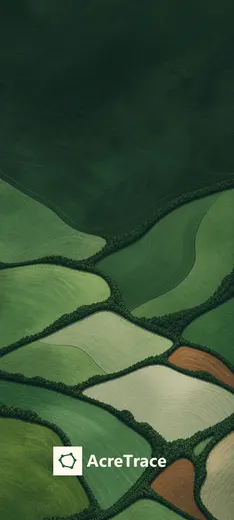 Preview of Phone · Standard